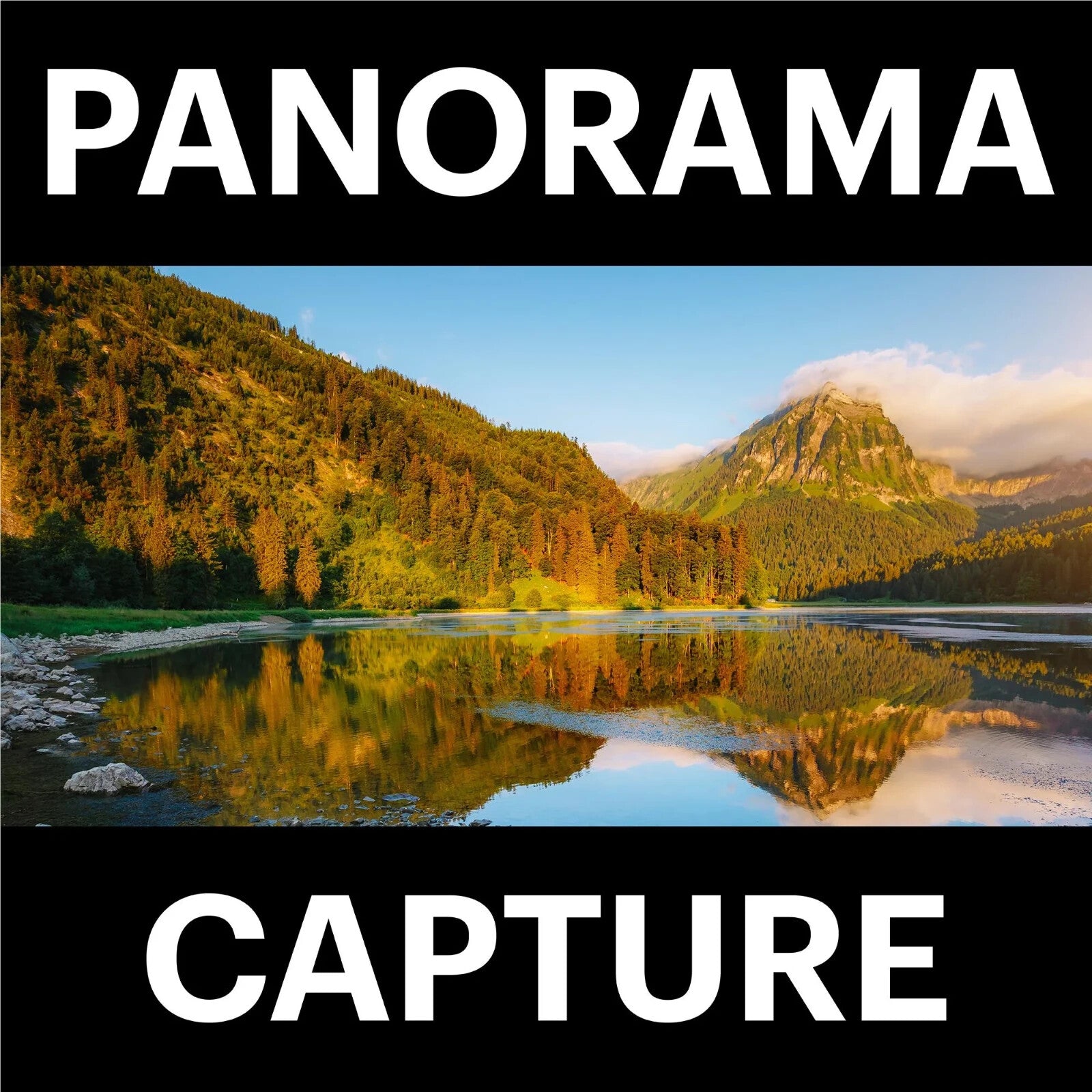 Image #12