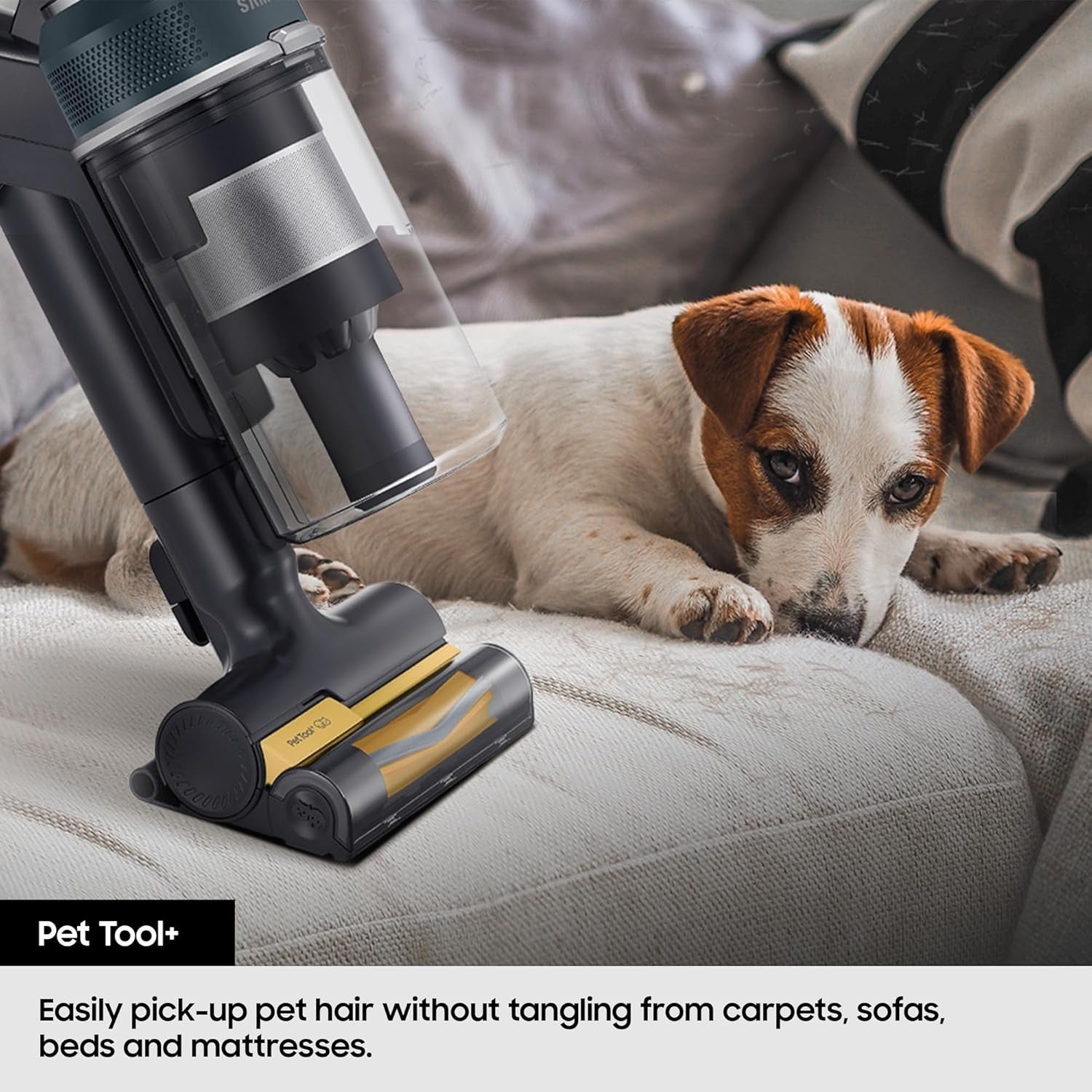 Image #12