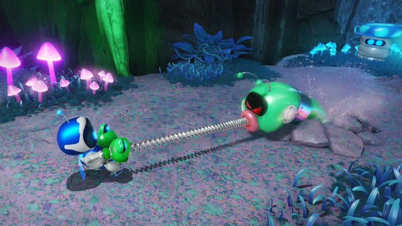 Image #5