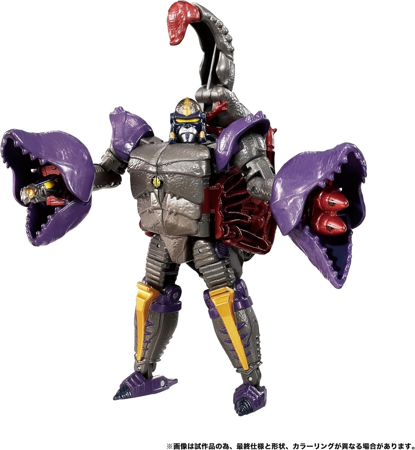 Image #4