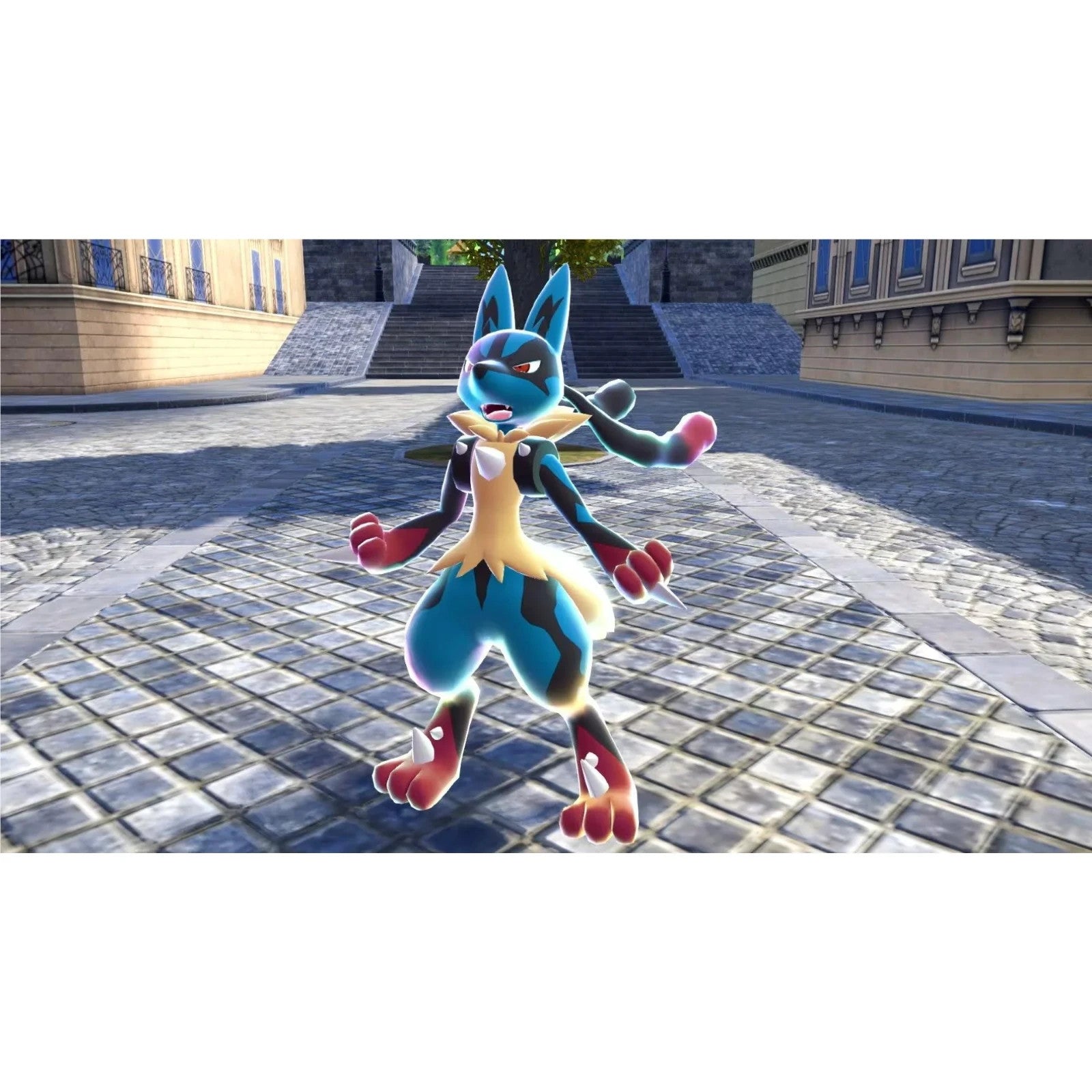 Image #5