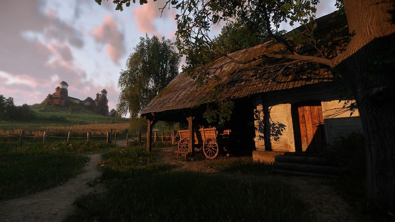 Image #7